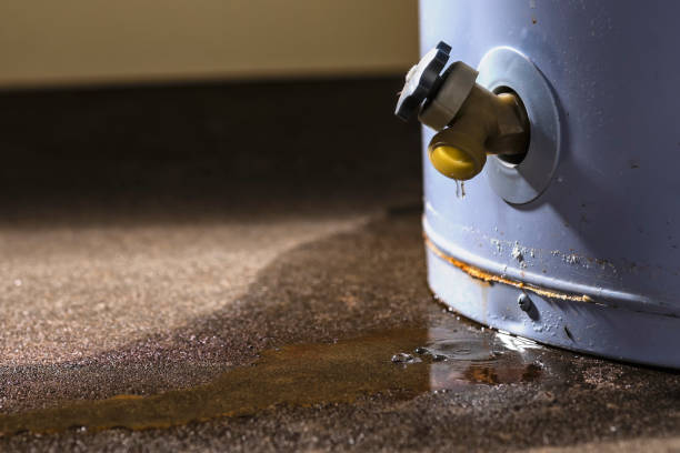 Best Carpet water damage restoration  in Carson City, NV