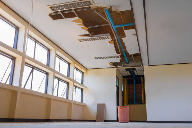 Best Basement water damage restoration  in Carson City, NV