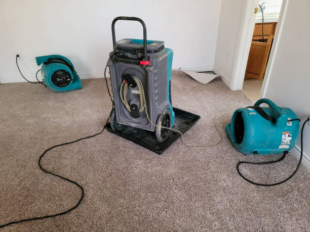 Best Water damage restoration experts  in Carson City, NV