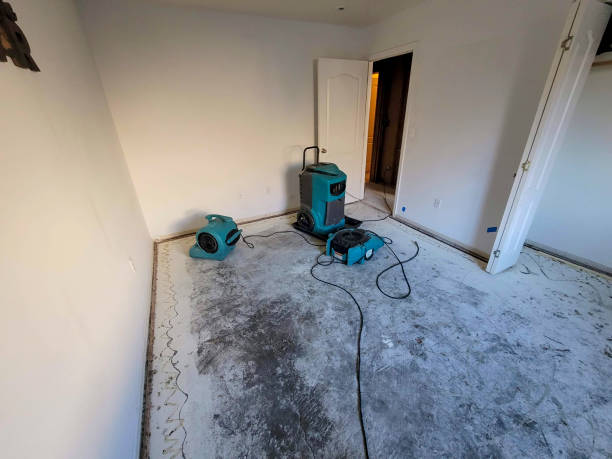 Best 24/7 water damage repair  in Carson City, NV