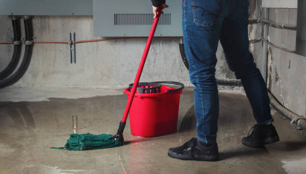 Water damage restoration experts in NV
