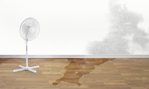 Best Residential water damage restoration  in Carson City, NV
