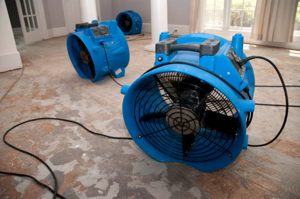 Best Flooded house restoration  in Carson City, NV