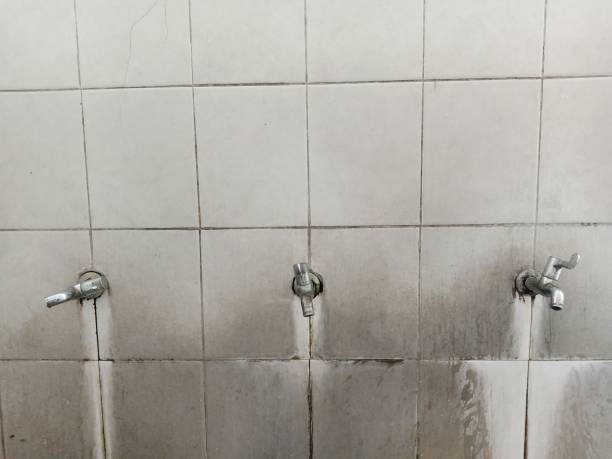 Best Water damage restoration near me  in Carson City, NV