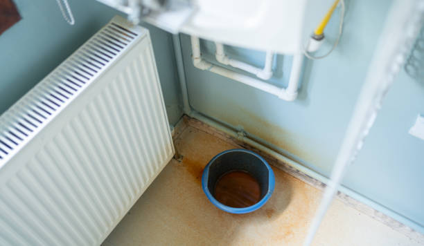 Best Water damage restoration services  in Carson City, NV