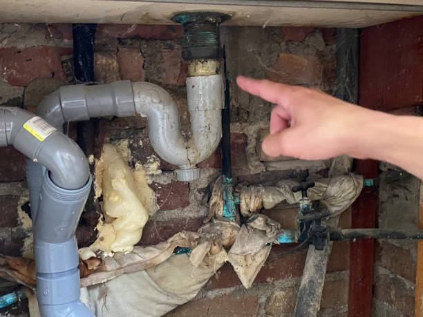  Carson City, NV Water damage restoration Pros