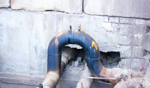 Best Water damage cleanup near me  in Carson City, NV