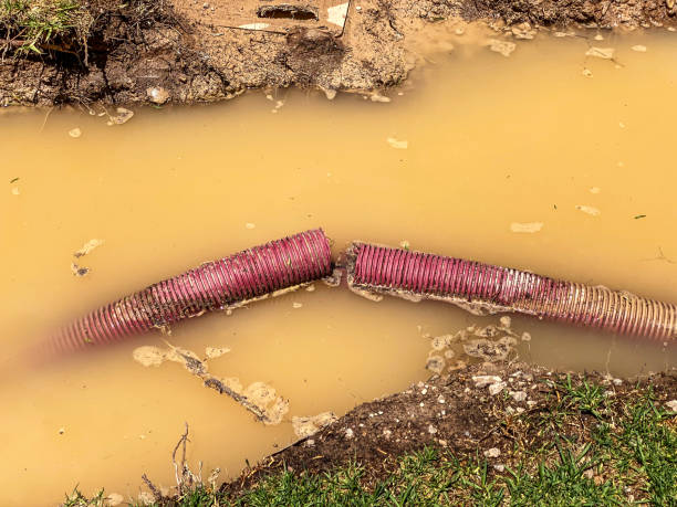 Best Residential water damage restoration  in Carson City, NV