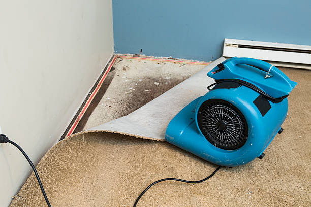 Best Water damage restoration near me  in Carson City, NV